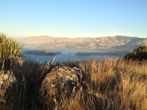 A bay in The South Island, NZ A bay in The South Island, NZ